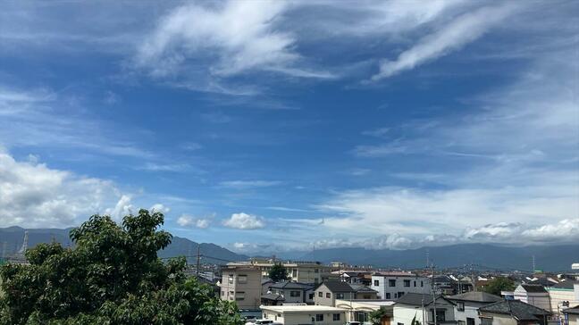 【速報】関東甲信で梅雨明け|TBS NEWS DIG