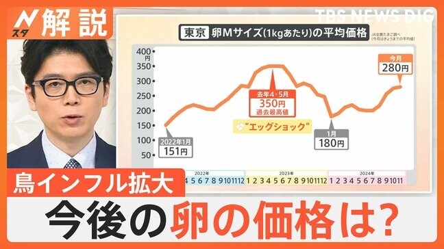 「いまの価格帯は正直言って異常」卵の高騰“エッグショック”懸念、鳥インフル拡大 過去最悪の年に匹敵【Nスタ解説】|TBS NEWS DIG