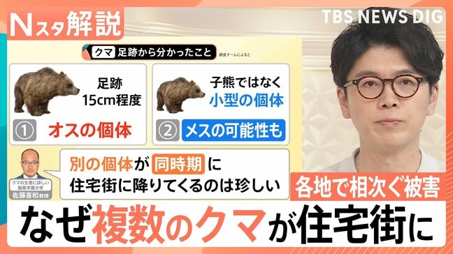 各地で相次ぐクマ被害　遭遇した人「なす術なし」 猟犬の鳴き声・猟銃でクマよけするアプリも【Nスタ解説】|TBS NEWS DIG