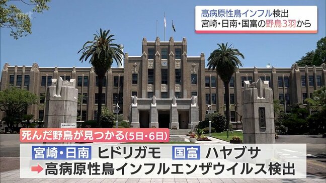 死んだ野鳥から高病原性鳥インフルエンザウイルスが検出　宮崎県内で3例相次ぐ　|TBS NEWS DIG