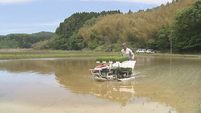 コシヒカリの苗が流れ出してしまう…被災地で田植え　地震で地盤が下がっても、あぜが下がっても「少しでもつくりたい」　富山・氷見市|TBS NEWS DIG