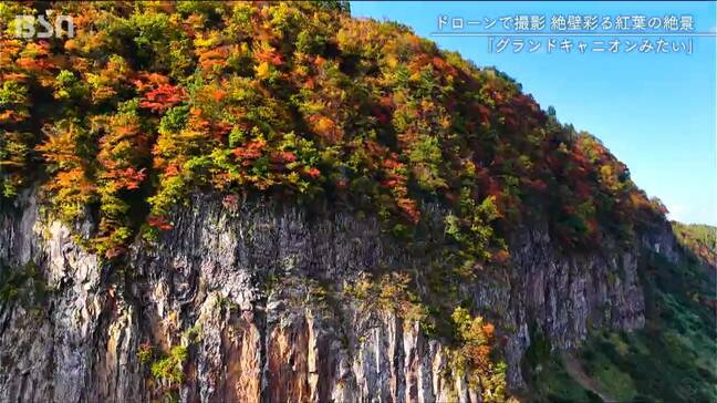 「グランドキャニオンに紅葉がついているみたい」新潟県津南町の『見玉公園』が絶好の“もみじ狩り”日和に|TBS NEWS DIG