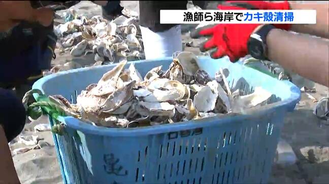 「娘と何十回も来た海岸 少しでも力になれれば」大量に漂着した“カキ殻”人海戦術で清掃 宮城・石巻市|TBS NEWS DIG