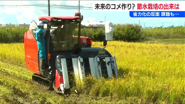 毎日の水管理から解放「田んぼに水をためないコメの節水栽培」　収穫始まり見えてきた課題は…　新潟|TBS NEWS DIG