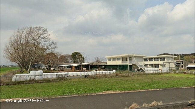 都城農業高校が管理している牛3頭が牛舎から脱走 1頭が道路を走行中の軽自動車と衝突する事故|TBS NEWS DIG