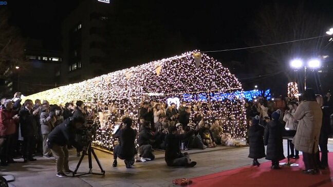冬場の観光促進と商店街振興に もりおかイルミネーションブライト点灯式 10万球のLEDが冬の夜彩る|TBS NEWS DIG