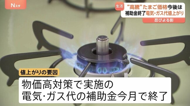イラン情勢受け深刻な“原油高”　4月の電気・ガス代↑・たまご・おしぼりにまで影響　生活に忍びよる価格高騰の波|TBS NEWS DIG