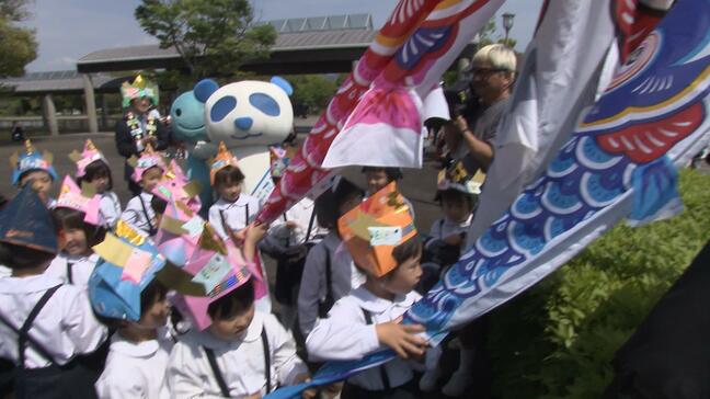 4m超のコイが空を舞う!濵田知事と園児41人が力を合わせて掲揚「高知の未来は明るい」手作りかぶとで笑顔満開【高知】|TBS NEWS DIG