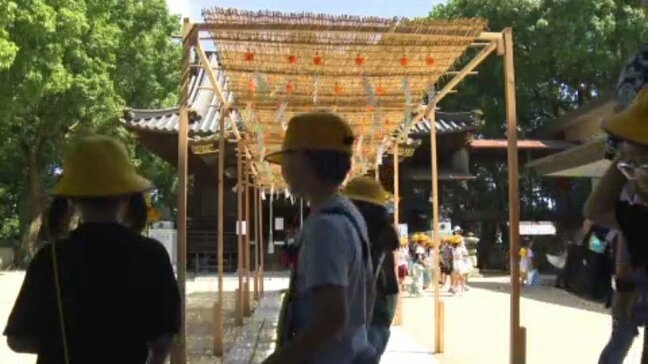三津厳島神社で「夏詣」 参道に風鈴など 境内は夏の装い 愛媛・松山市|TBS NEWS DIG