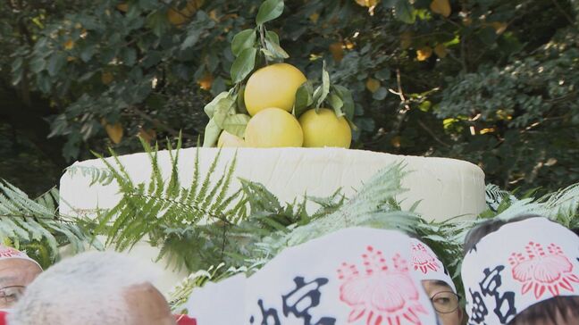 熱田神宮に大鏡餅奉納 重さ450キロと70キロ 計3基を担いで…鏡開きは新年1月9日 「立派なのでびっくりした」名古屋|TBS NEWS DIG