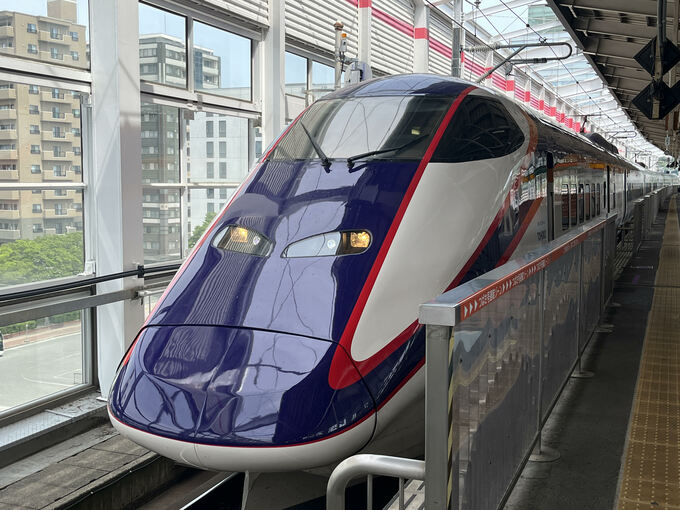 JR山形新幹線クマと衝突　けが人なし　約30分遅れで運転再開　14日午後5時25分現在|TBS NEWS DIG