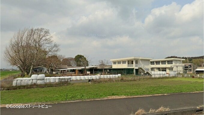 都城農業高校が管理している牛3頭が牛舎から脱走　1頭が道路を走行中の軽自動車と衝突する事故　|　MRTニュース ｜ ＭＲＴ宮崎放送