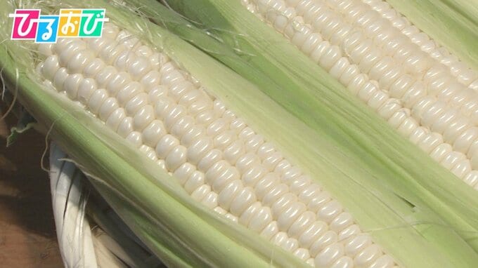 「人生で食べた中で一番甘い」“日本一”のトウモロコシが決定！最高金賞のお味は？【ひるおび】|TBS NEWS DIG