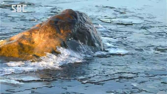 上田市菅平で氷点下23.9度　各地で冷え込む　長野県内30の観測ポイントのうち16地点で今季最低　|　SBC NEWS | 長野のニュース | SBC信越放送