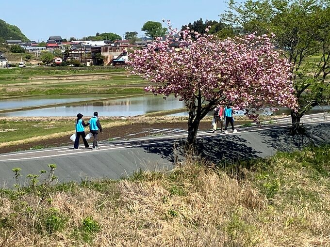 サクラ咲く久慈川沿いを清掃　福島県塙町で「アクアクリーンキャンプ」実施|TBS NEWS DIG