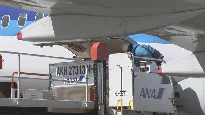 ANA　日中に空いている旅客機の貨物スペースを活用し関東発の荷物を九州へ翌日配送可能に　物流の2024年問題に対応|TBS NEWS DIG