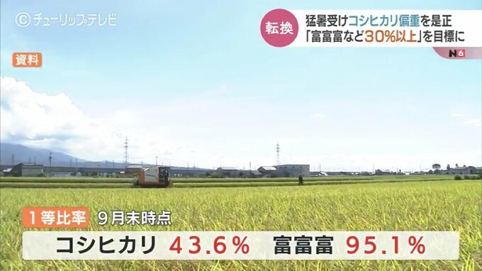 「コシヒカリ偏重」から高温に強い「富富富」への転換へ　コシヒカリ1等比率46.3％の衝撃受け　富山|TBS NEWS DIG