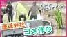 「お年寄りの姿見て、ボクらが立ち上がらんと」　“運送会社”が“コメ作り”に参入　農業経験有のメンバーに教わりながら初の田植え迎える　「覚悟改めて噛みしめた」　|　RCC NEWS | 広島ニュース | RCC中国放送