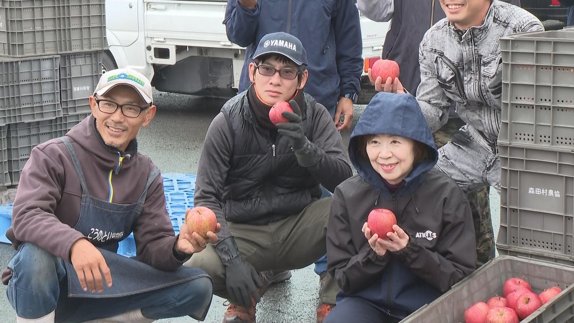若手農家約30人が640kgのリンゴを「学校給食用」に無償提供 11月20日