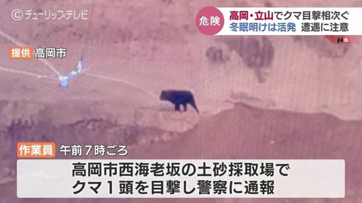 クマの目撃相次ぐ 冬眠明けのクマはえさを求めて活発に行動 県などが