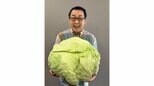 【 さだまさし 】　「これ大きいだけではなく美味しいのよ」巨大キャベツ「札幌大球」友人からの贈り物に満面の笑み|TBS NEWS DIG