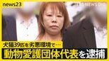 30匹以上の死骸が散乱…「片付け ばかばかしく」 動物愛護団体 代表を逮捕【news23】|TBS NEWS DIG