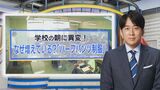 中学・高校で増加「ハーフパンツ制服」…10代が求める“機能性”と、もう1つの“重要ポイント”【THE TIME】 |TBS NEWS DIG