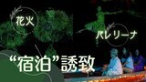 幻想的な“光の川下り” 水郷・柳川で「水辺の夜市」2日間限定で開催|TBS NEWS DIG