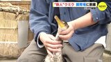 三次の鵜飼　新人のウミウ　飼育場に到着　広島|TBS NEWS DIG