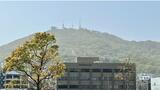黄色く霞む稲佐山 長崎市で黄砂観測 午前10時の視程が9キロに「13日午前中にかけて注意」|TBS NEWS DIG