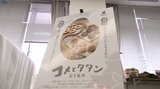 その名は「コメとタタン」　盛岡市の洋菓子店が盛岡産の米粉を使った新スイーツブランドを発表|TBS NEWS DIG