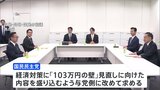 「103万円の壁」結論持ち越し　自民・公明と国民民主　きょうも政策責任者が協議へ|TBS NEWS DIG