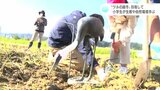 “ツルの越冬”目指して　小学生が生態や自然環境学ぶ　高知・四万十市|TBS NEWS DIG