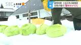 「雪中キャベツ」収穫が本格化…甘くて芯の部分がやわらかく食べやすい… 長野・小谷村|TBS NEWS DIG