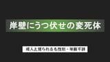 岸壁にうつ伏せの変死体　白の半袖Tシャツ＆ズボン 　釣り人が発見|TBS NEWS DIG