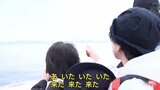 浅虫温泉・陸奥湾の「イルカウォッチング」で誘客　2024年のゴールデンウィークから実施へ|TBS NEWS DIG