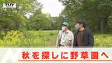 蝶の「アサギマダラ」も撮影!野草園にはたくさんの秋が! | 山形のニュース│TUYテレビユー山形