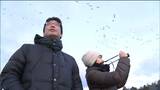 「鳥たちのように飛び立ちたい気分」暖冬の影響か渡り鳥の北帰行進む　宮城県の伊豆沼|TBS NEWS DIG