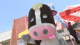 6月1日は「牛乳の日」　「日ごろの食生活に牛乳を取り入れて」とJA全農いわてが大学や駅などで牛乳配布　岩手　|　IBC NEWS | IBC岩手放送