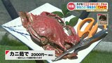 贅沢するならカニ料理！裏メニューに王道イタリアンも うま味が詰まった今が旬の『ワタリガニ』グルメ　|　熊本のニュース｜RKK NEWS｜RKK熊本放送