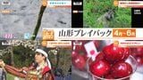 “人間将棋”に“さくらんぼ新品種”、“魚雷”も!2022年山形県の4月から6月のニュースは | 山形のニュース│TUYテレビユー山形