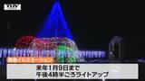 藤の花の名所で15万球のLEDでイルミネーション 映えスポットにも注目 | 山形のニュース│TUYテレビユー山形