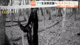 クマの全国統一調査を環境省が開始 胸の模様を撮影し個体数を推定 山林にカメラ設置 仙台　|　宮城のニュース│tbc NEWS│tbc東北放送