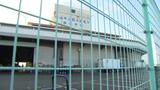 「あまりにも堂々とやっていた…」 ニセの漁獲番号を付けたナマコを販売 「松山魚市場」に県が行政指導【愛媛】 | 愛媛のニュース - Nスタえひめ|あいテレビは6チャンネル