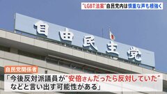 自民党「LGBT理解増進法案」提出に向けた準備進める　党内には慎重意見も根強い| TBS CROSS DIG with Bloomberg