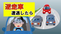 逆走は「2日に1回」起きている 高速道路で “逆走車”を見たら取るべき3つの行動 |TBS NEWS DIG