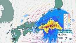 台風6号は東日本太平洋側に接近へ　東海や関東甲信も線状降水帯のおそれ|TBS NEWS DIG