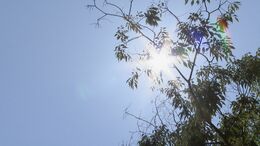 野球の練習中に少年(16)が意識もうろうに… 岐阜県内で熱中症8人搬送　|　名古屋・愛知・岐阜・三重のニュース【CBC news】 | CBC web