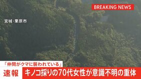 「仲間がクマに襲われている」70代女性が意識不明の重体　4人でキノコ採り中襲われる　1人はすでに下山　宮城・栗原市の栗駒山|TBS NEWS DIG