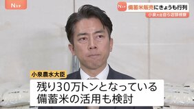 小泉農水大臣が“古古米”販売店をはしご視察「需要があれば全部出すという思い」|TBS NEWS DIG